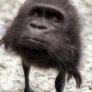 Tsuさんのアイコン