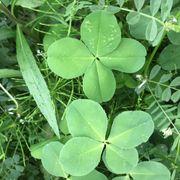 億れ人さんのアイコン