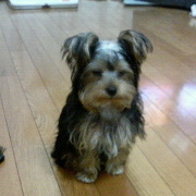 viviさんのアイコン