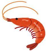 海老仙人さんのアイコン