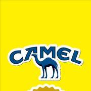 Ｆilosさんのアイコン