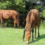 龍さんのアイコン